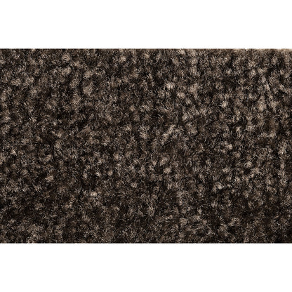 Entrance matting EAZYCARE COLOR, for indoors, LxW 900 x 1500 mm, brown.