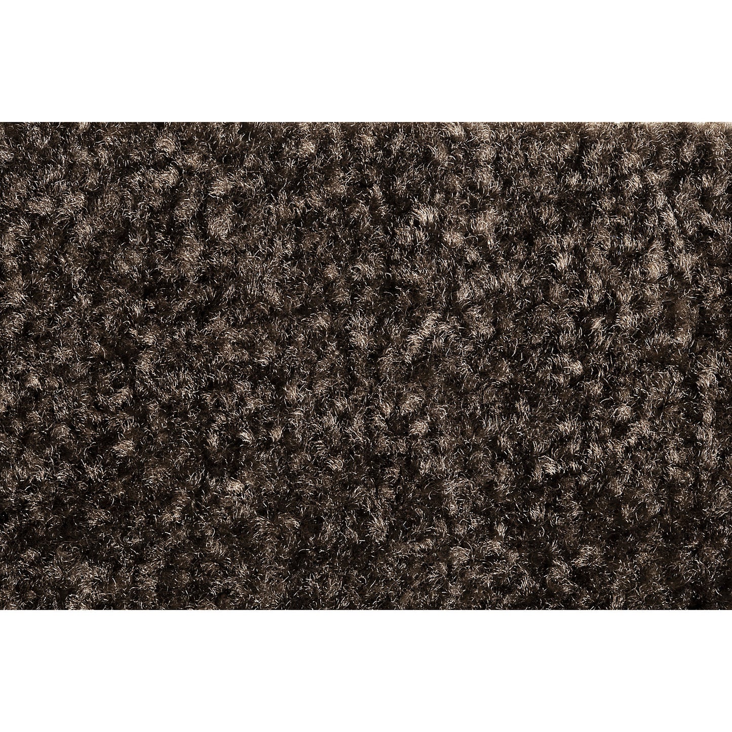 Entrance matting EAZYCARE COLOR, for indoors, LxW 600 x 900 mm, brown.