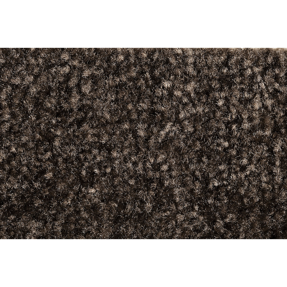 Entrance matting EAZYCARE COLOR, for indoors, LxW 600 x 900 mm, brown.