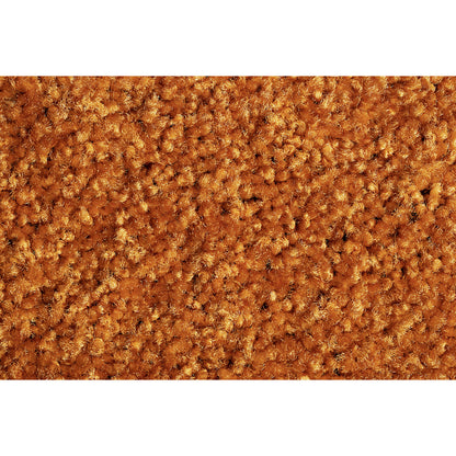 Entrance matting EAZYCARE COLOR, for indoors, LxW 400 x 600 mm, orange.