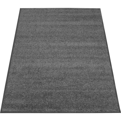 Entrance matting EAZYCARE COLOR, for indoors, LxW 1200 x 1800 mm, grey.