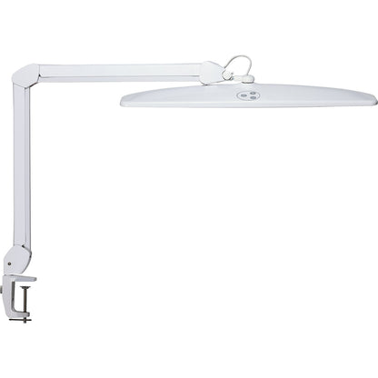 MAULexplore LED desk lamp, dimmable, white.