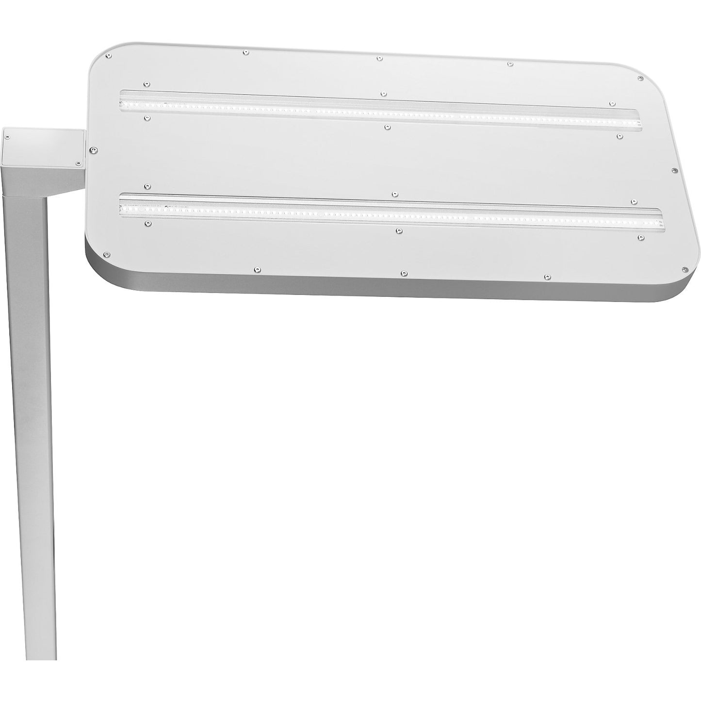 Sapphire Plus LED floor lamp, dimmable, white.