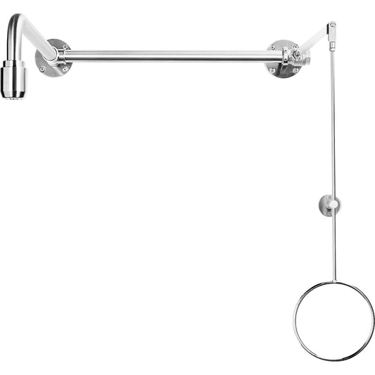 PremiumLine full body emergency shower, for above-door installation, stainless steel.