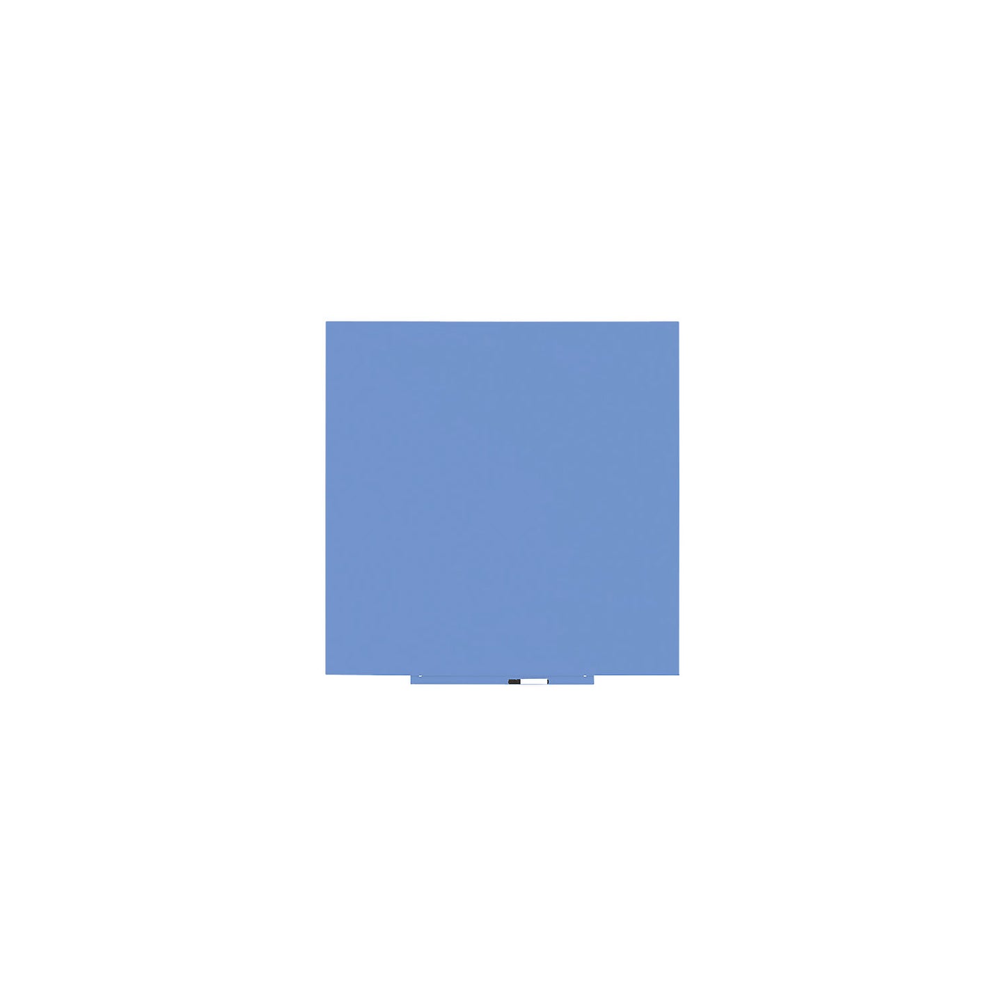 Skincolor whiteboard, BASIC version - sheet steel, painted, WxH 1000 x 1000 mm, blue.