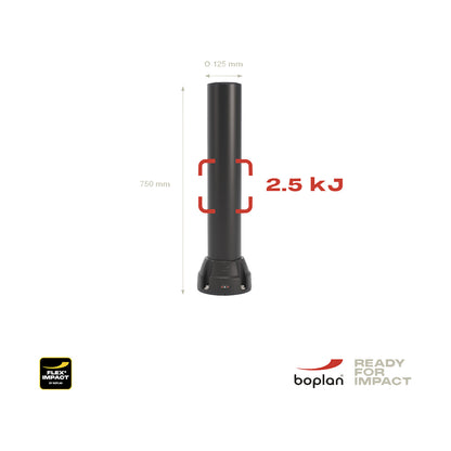 Crash protection bollard 125L, height 750 mm, zinc plated plate, black.