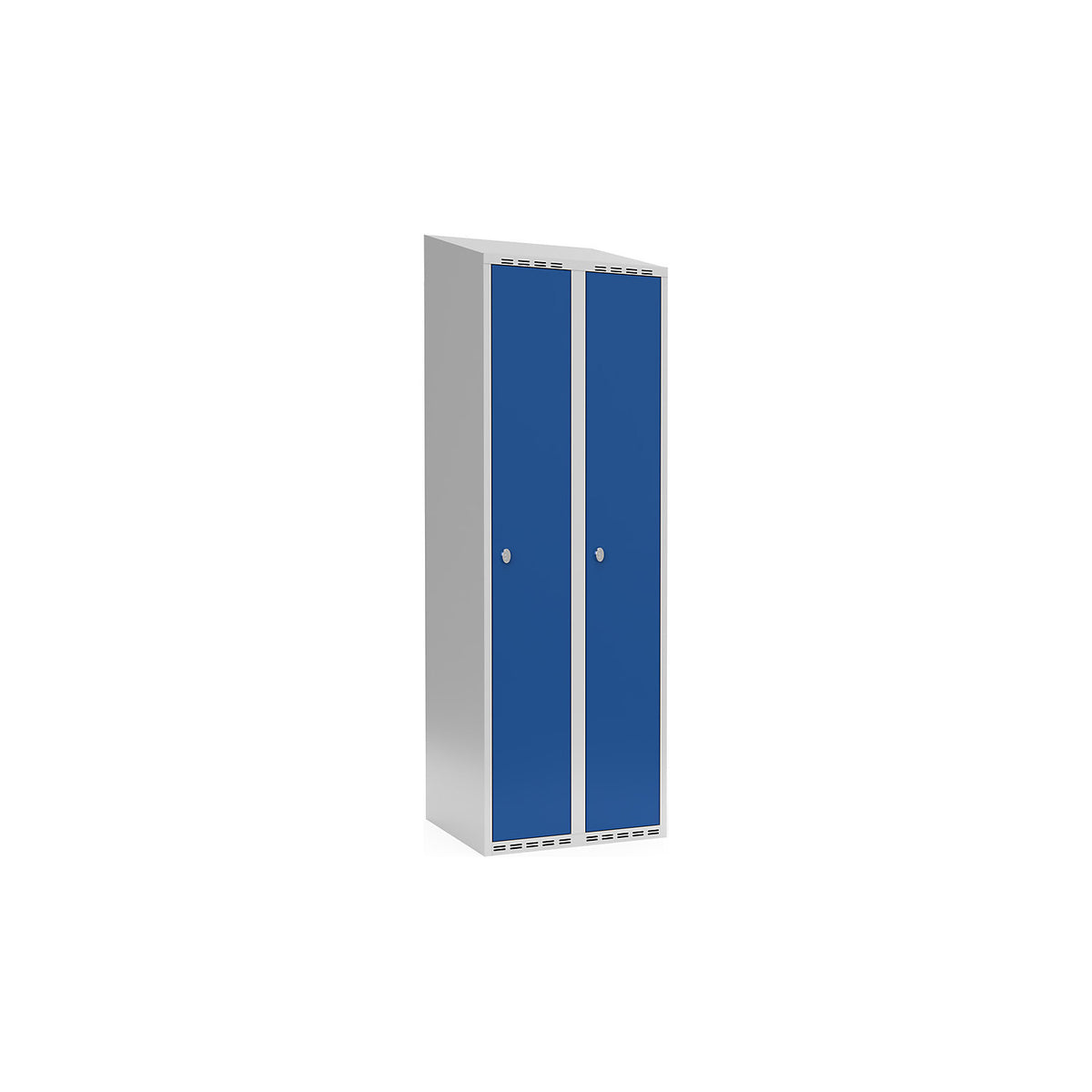 Fydor locker, 2 compartments, light grey / gentian blue, W 600 mm, sloping roof shape, padlock.