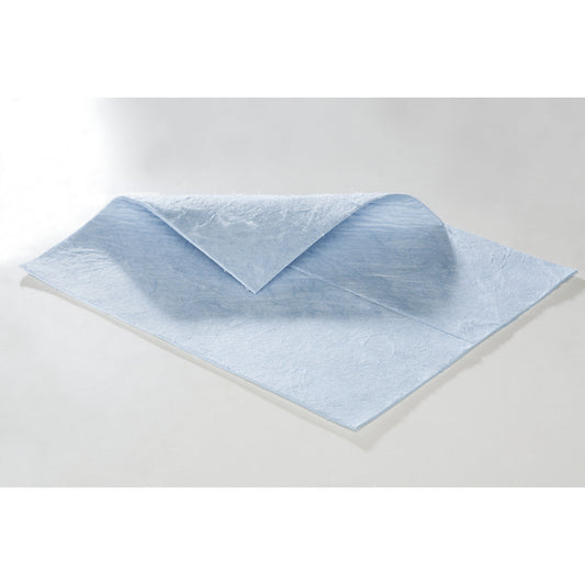 FIRST absorbent sheeting, sheets, heavy version, for oil, 500 x 400 mm, blue, 2 pack of 50.