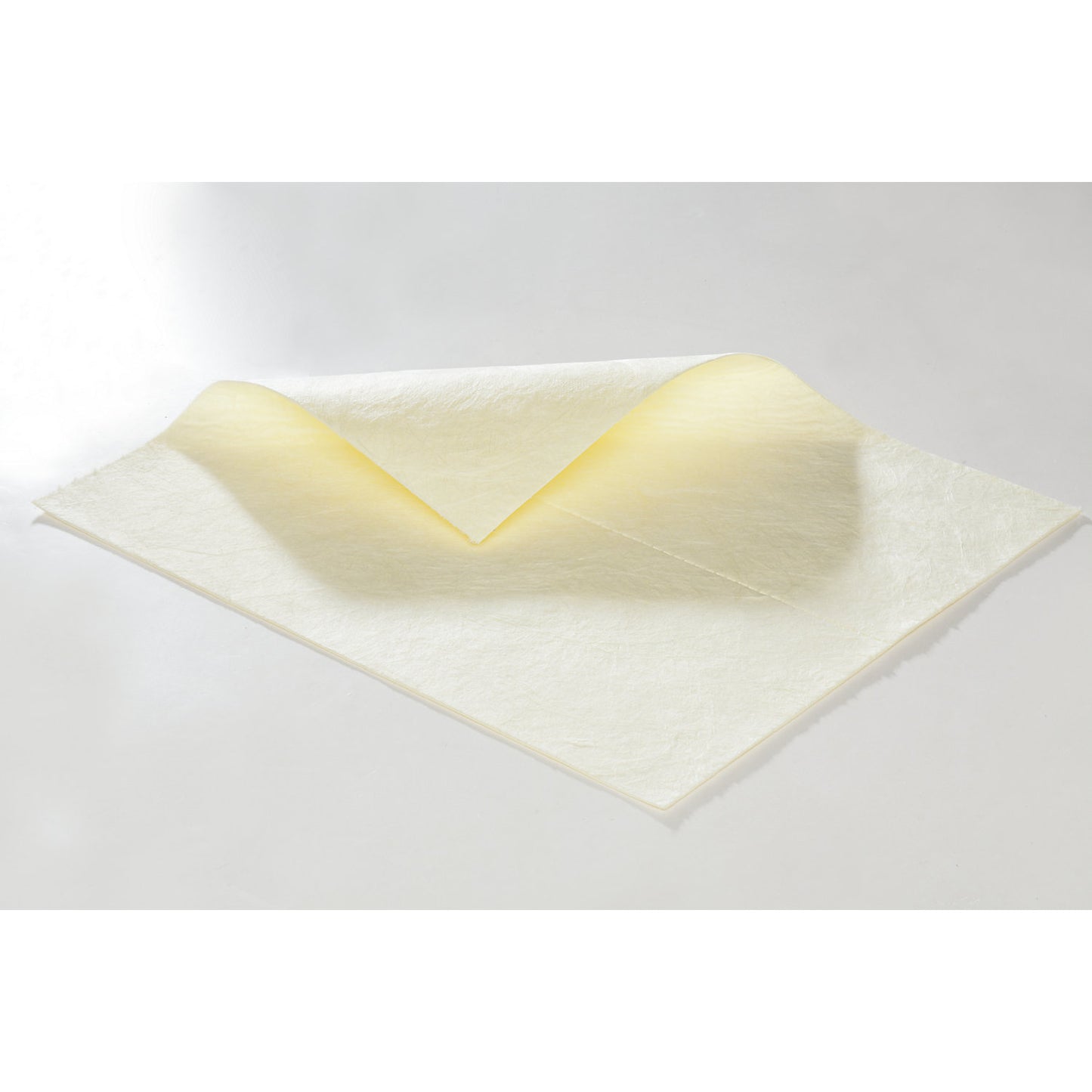 FIRST absorbent sheeting, sheets, medium version, for chemicals, 500 x 400 mm, pack of 200.