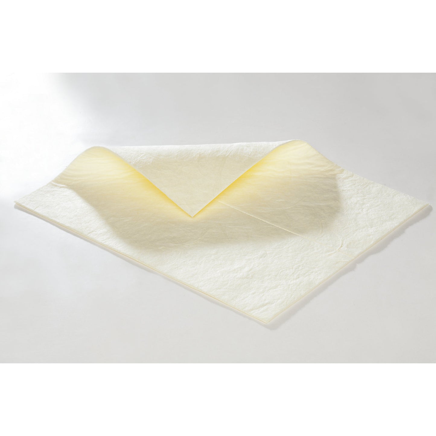 FIRST absorbent sheeting, sheets, heavy version, for chemicals, 500 x 400 mm, pack of 100.