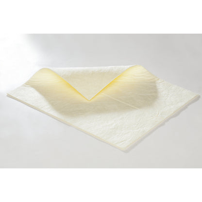 FIRST absorbent sheeting, sheets, heavy version, for chemicals, 500 x 400 mm, pack of 100.
