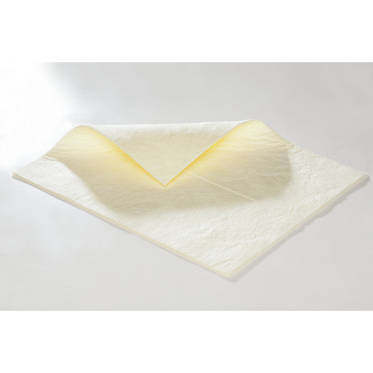 FIRST absorbent sheeting, sheets, heavy version, for chemicals, 500 x 400 mm, 2 packs of 50.