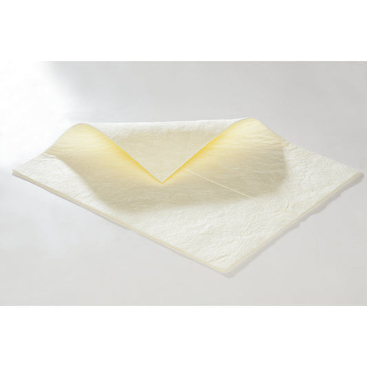 FIRST absorbent sheeting, sheets, heavy version, for chemicals, 500 x 400 mm, 2 packs of 50.