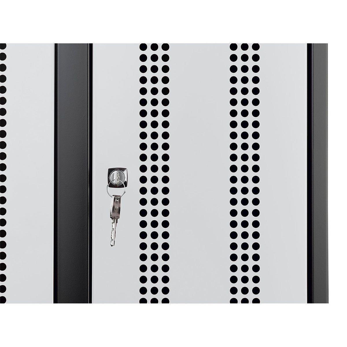 Door for steel cupboard, perforated steel door, extra cost.