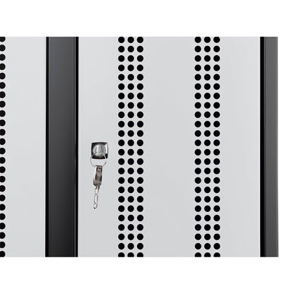 Door for steel cupboard, perforated steel door, extra cost.