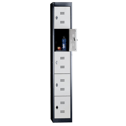 Hamburg 5-fold compartment locker, 1 compartment, 5 compartments, height 320 mm, width 300 mm, standard element, charcoal / light grey.