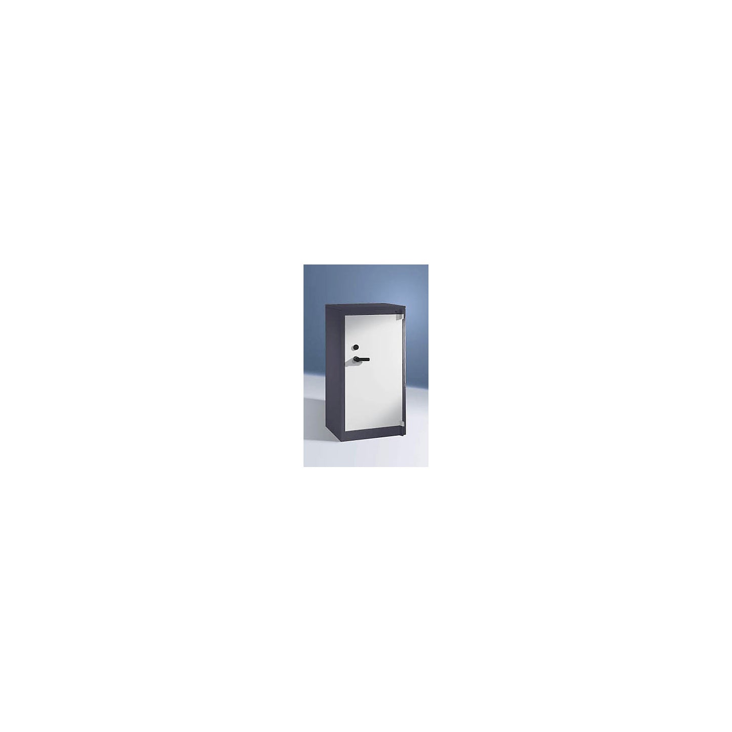 Certos fire protection cupboard, height 1226 mm, DIN 4102 compliant, W 650 mm, black grey/light grey.